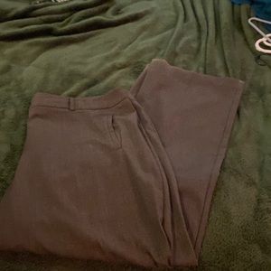 Grey, ankle length, dress pants. Dress Barn size 20w